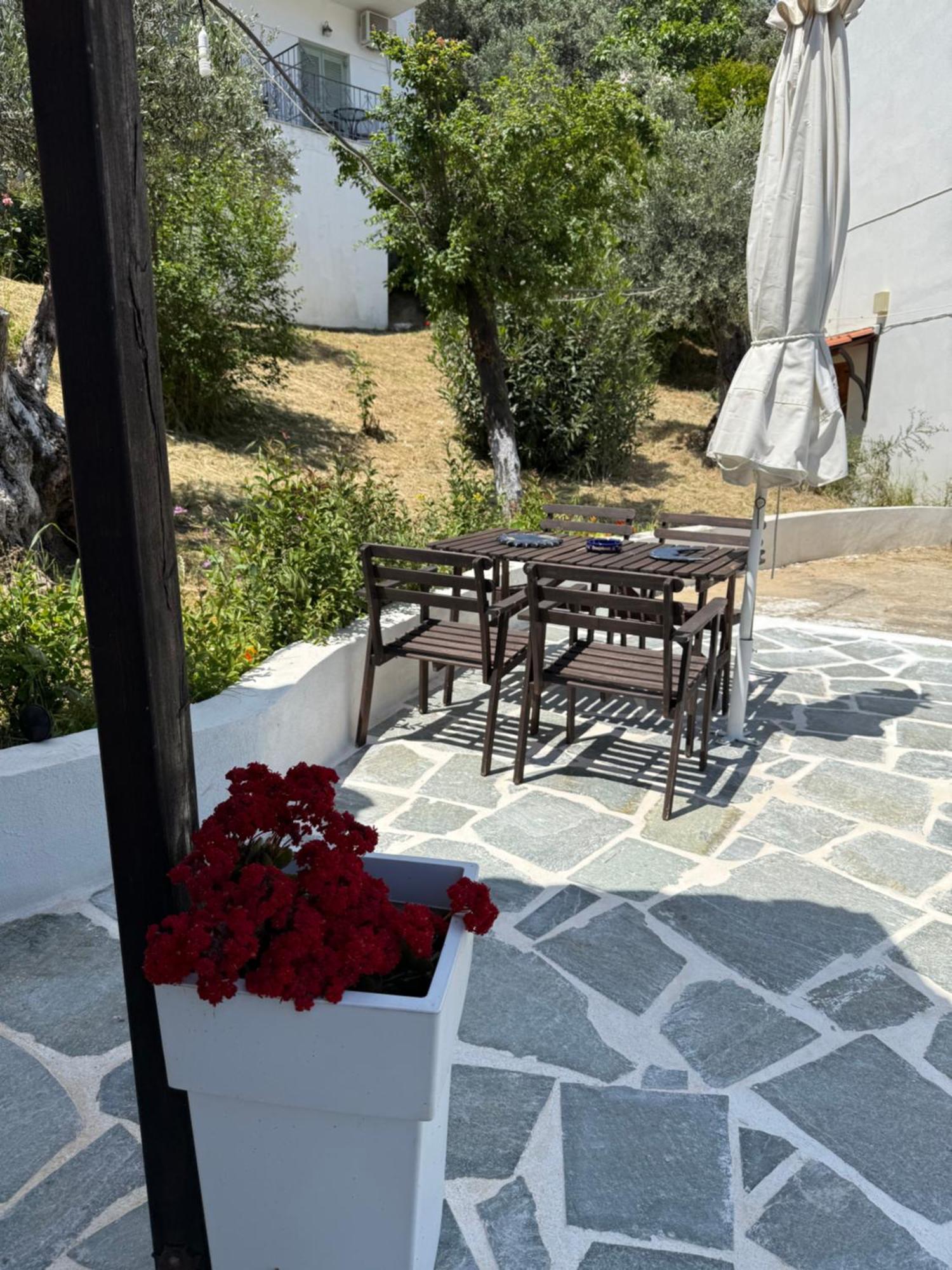 Skiathos Country Studios Zewnętrze zdjęcie